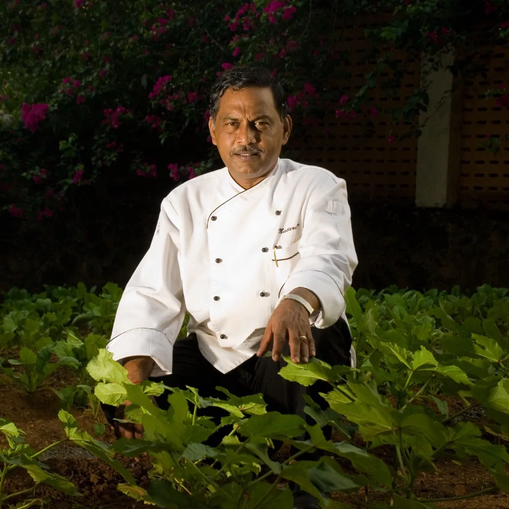 Chef Natarajan Kulandai of Taj Fisherman's Cove in kitchen whites, kneeling among okra plants in the hotel's kitchen garden at night